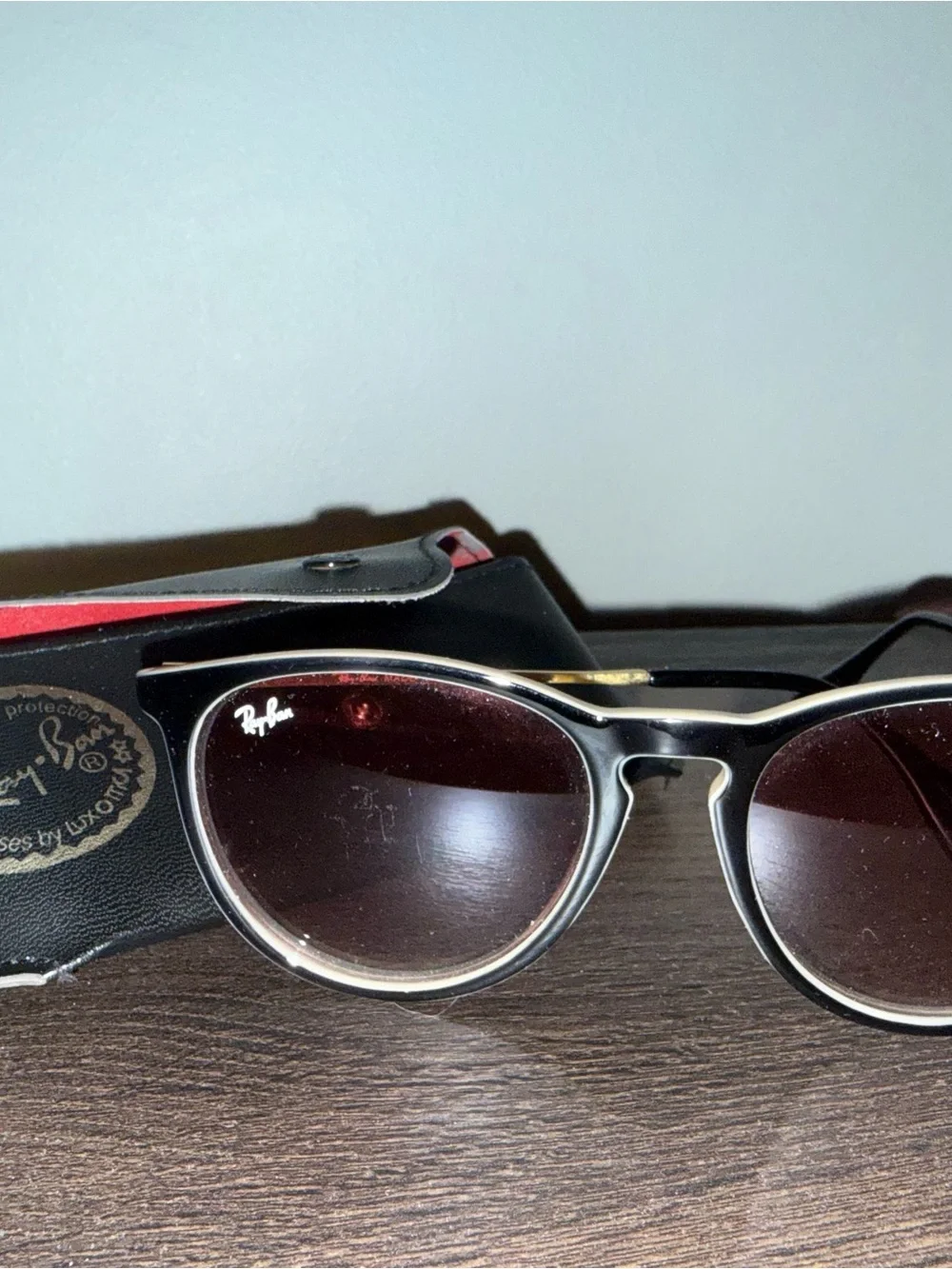 Ray-Ban Erika Sunglasses